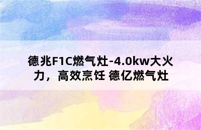 德兆F1C燃气灶-4.0kw大火力，高效烹饪 德亿燃气灶